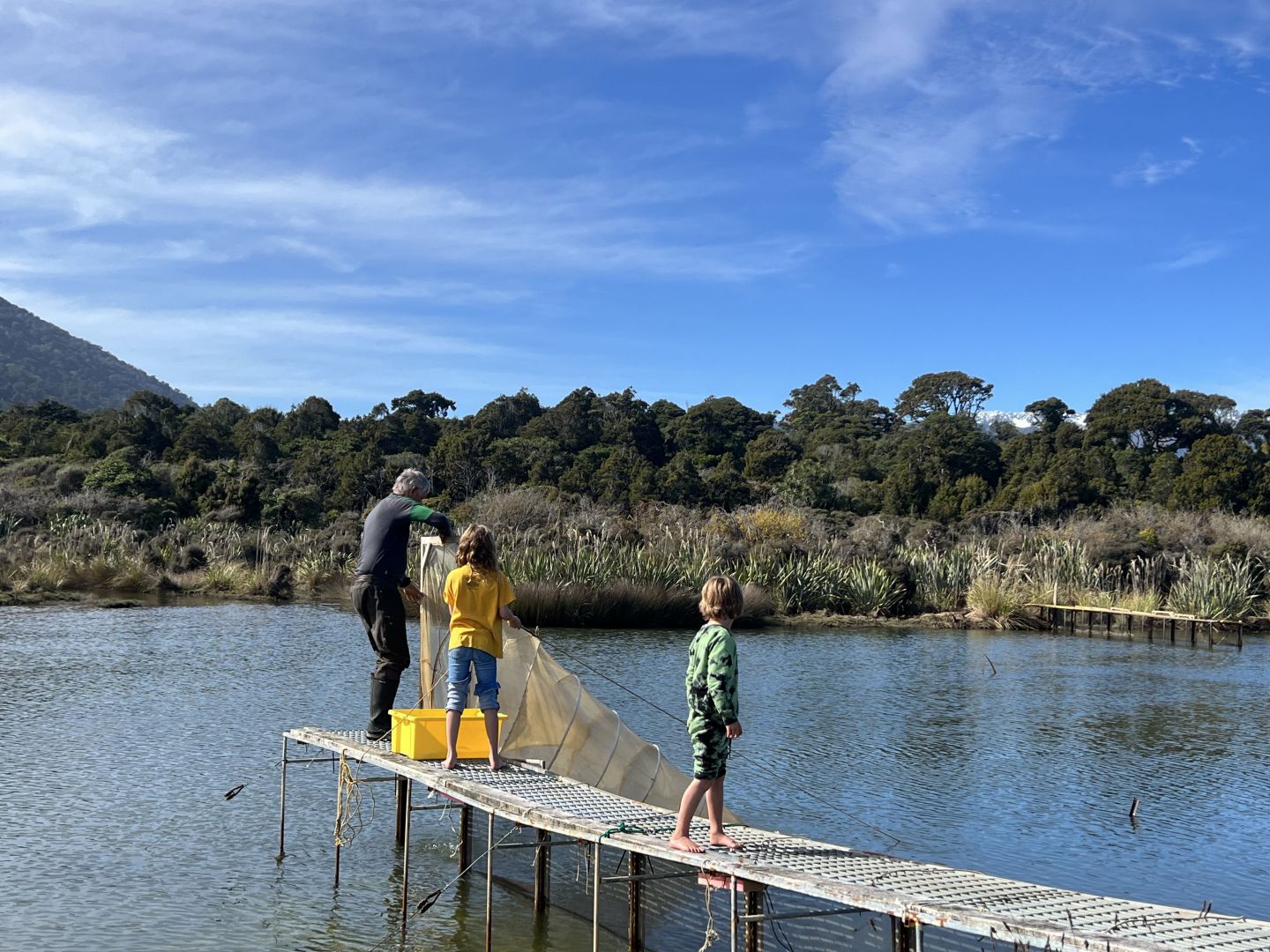 Setting Whitebait Nets