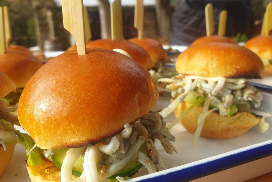 Whitebait Express Slider - Helicopter experience