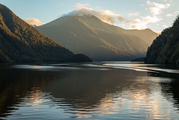 Doubtful Sound Beauty