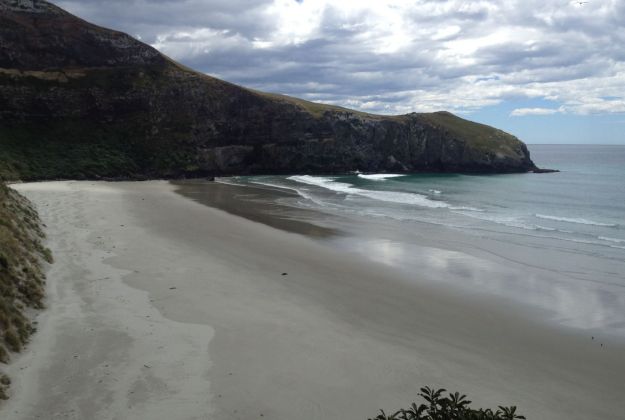 Otago Peninsula - Helicopter Experience