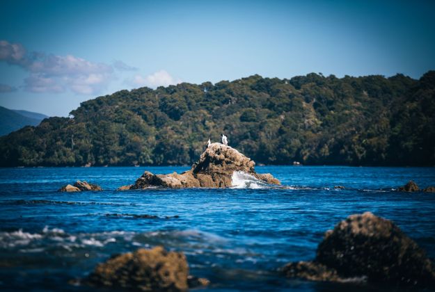 Stewart Island - Helicopter Experience