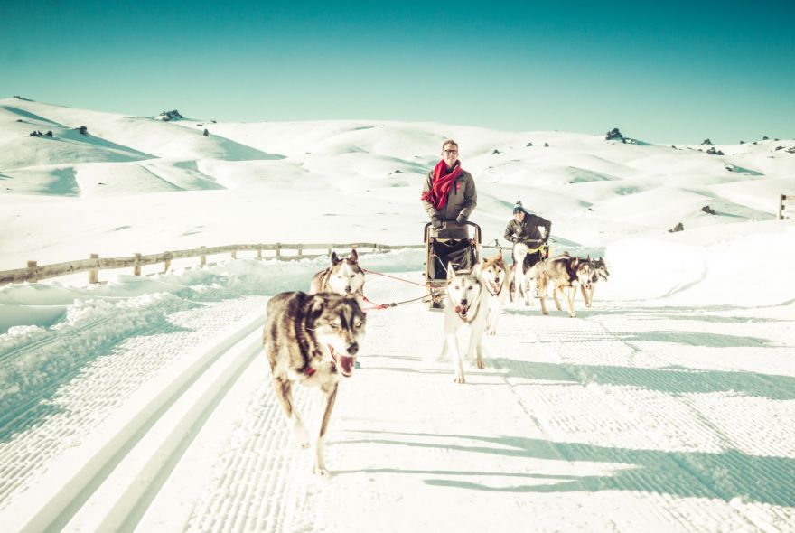 Dog Sledding in Winter with Over The Top Helicopters